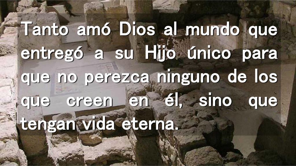 Tanto amó Dios al mundo que entregó a su Hijo único para que no perezca ninguno de los que creen en él, sino que tengan vida eterna.