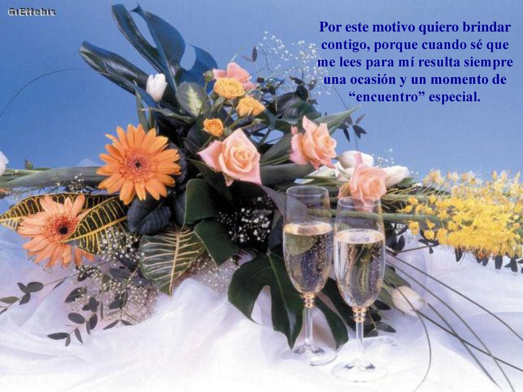 Por este motivo quiero brindar contigo, porque cuando sé que me lees para mí resulta siempre una ocasión y un momento de encuentro especial.