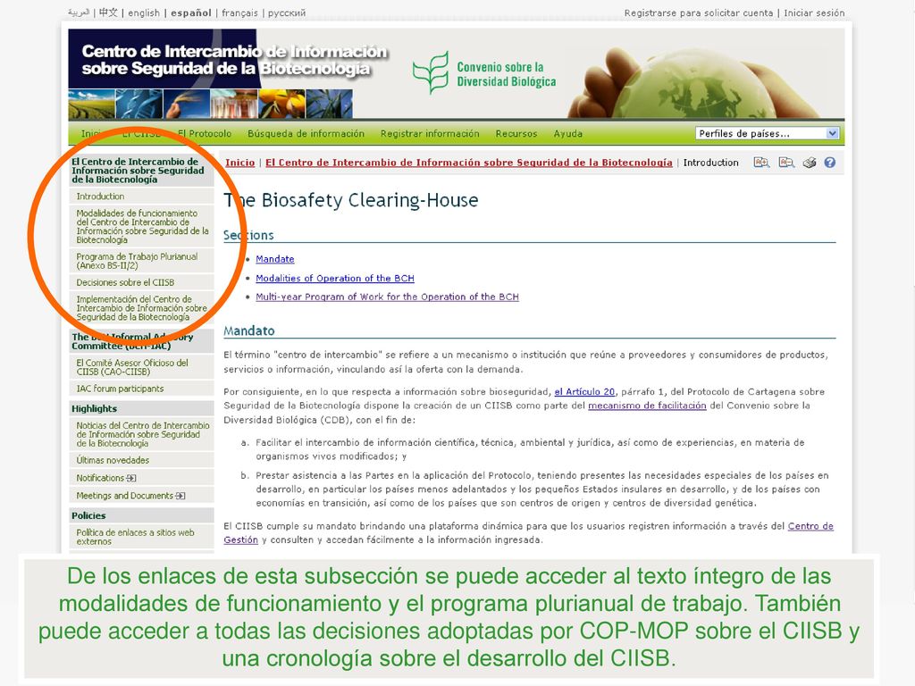 De los enlaces de esta subsección se puede acceder al texto íntegro de las modalidades de funcionamiento y el programa plurianual de trabajo.