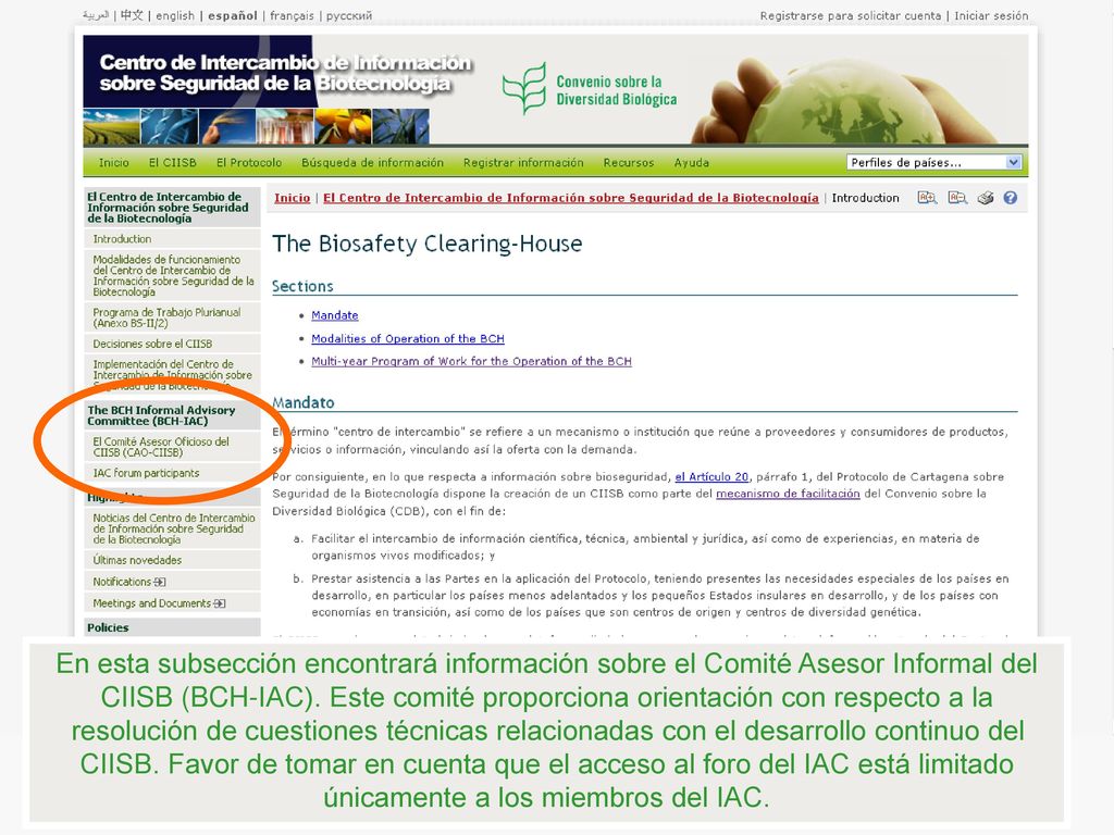 En esta subsección encontrará información sobre el Comité Asesor Informal del CIISB (BCH-IAC).