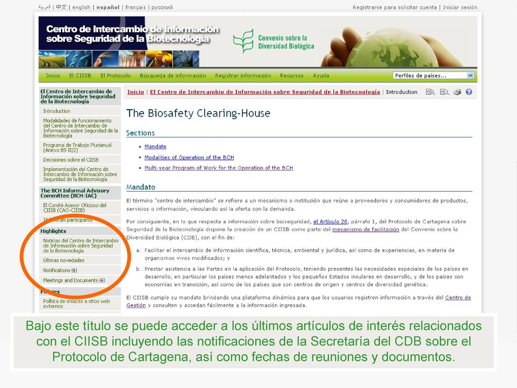 Bajo este título se puede acceder a los últimos artículos de interés relacionados con el CIISB incluyendo las notificaciones de la Secretaría del CDB sobre el Protocolo de Cartagena, así como fechas de reuniones y documentos.