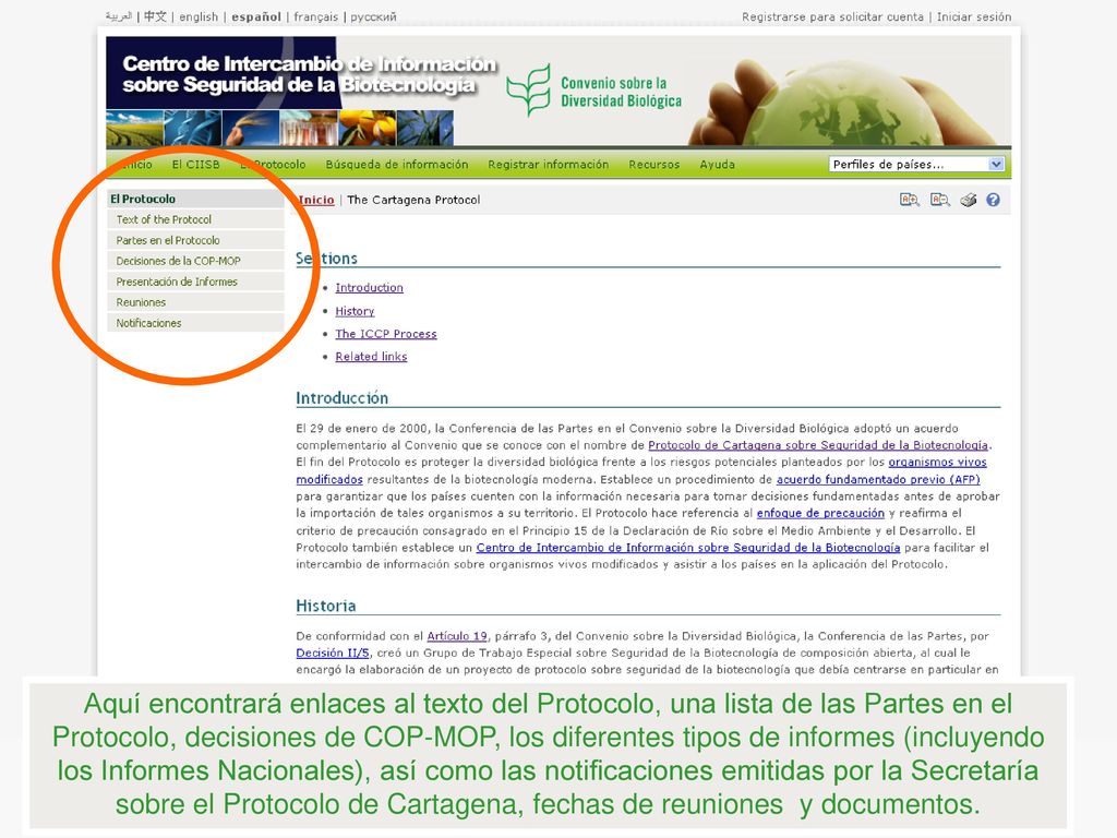 Aquí encontrará enlaces al texto del Protocolo, una lista de las Partes en el Protocolo, decisiones de COP-MOP, los diferentes tipos de informes (incluyendo los Informes Nacionales), así como las notificaciones emitidas por la Secretaría sobre el Protocolo de Cartagena, fechas de reuniones y documentos.