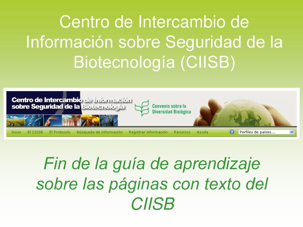 Fin de la guía de aprendizaje sobre las páginas con texto del CIISB