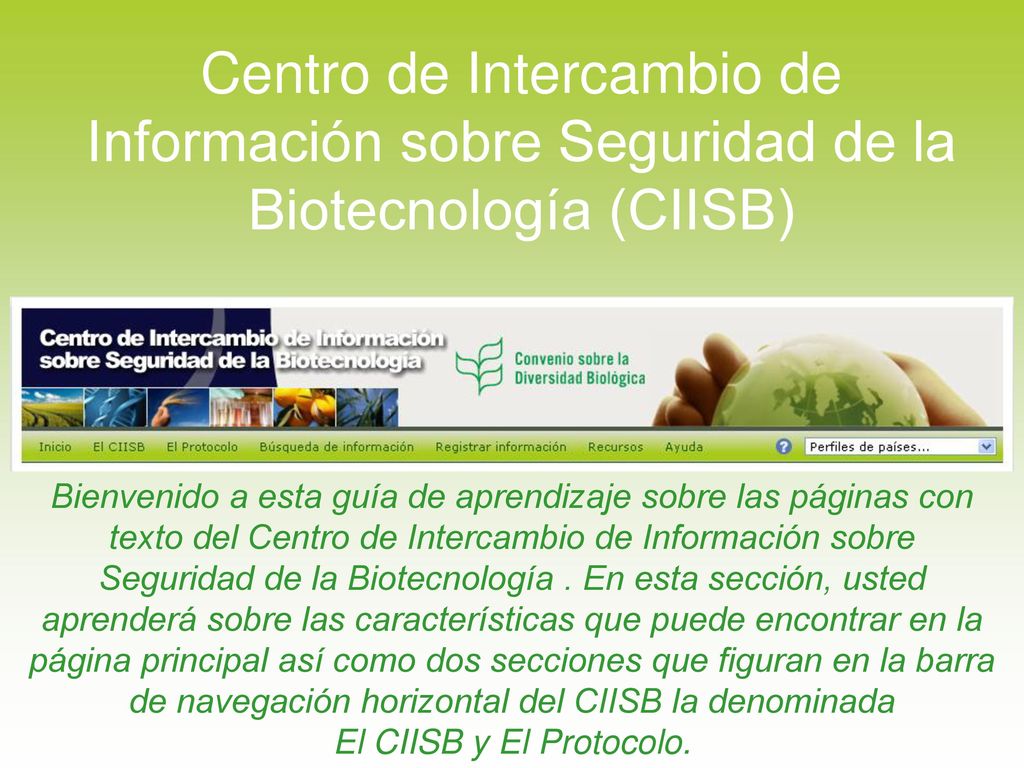Centro de Intercambio de Información sobre Seguridad de la Biotecnología (CIISB)