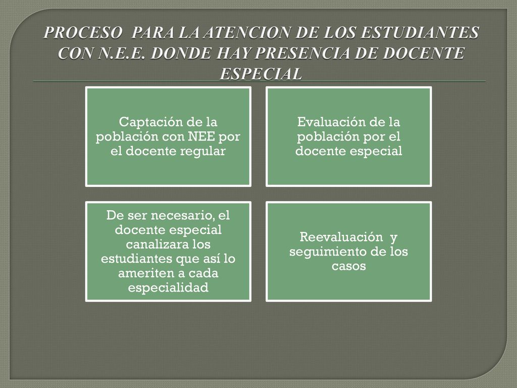 PROCESO PARA LA ATENCION DE LOS ESTUDIANTES CON N. E. E