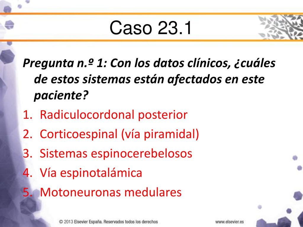 Caso 23.1 Pregunta n.º 1: Con los datos clínicos, ¿cuáles de estos sistemas están afectados en este paciente
