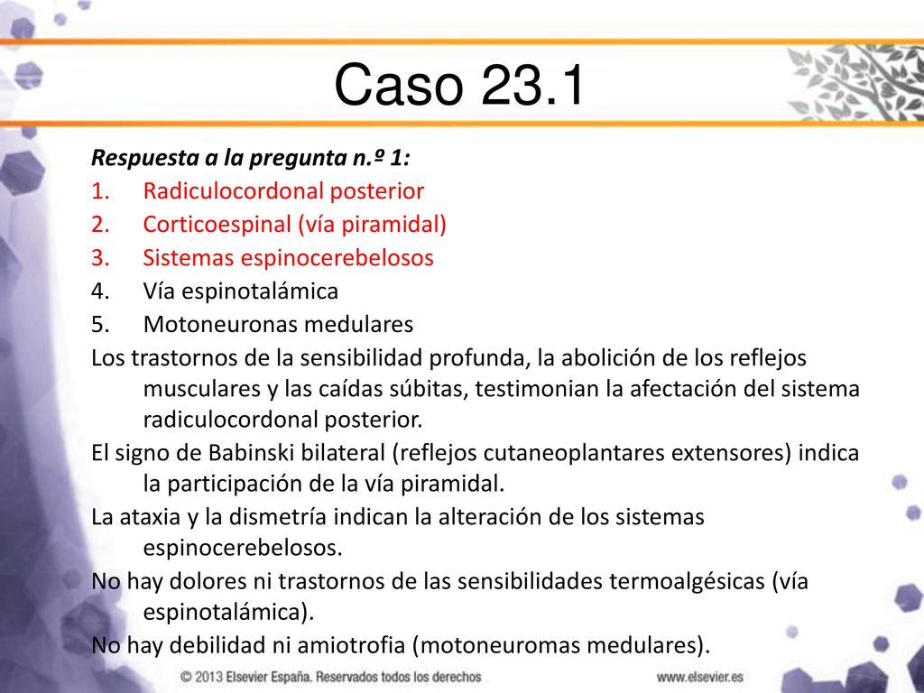Caso 23.1 Respuesta a la pregunta n.º 1: Radiculocordonal posterior