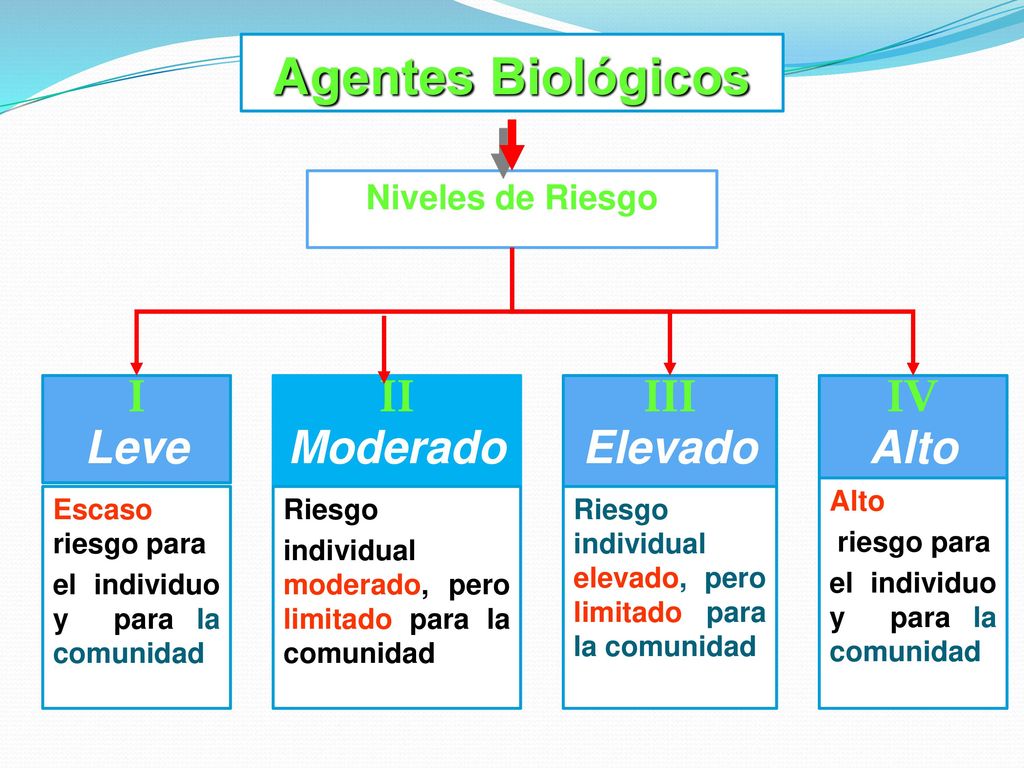 Agentes Biológicos I Leve II Moderado III Elevado IV Alto