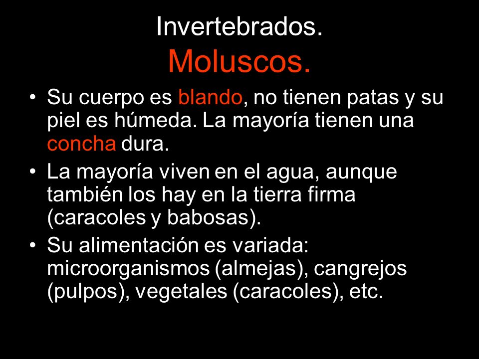 Invertebrados. Moluscos.