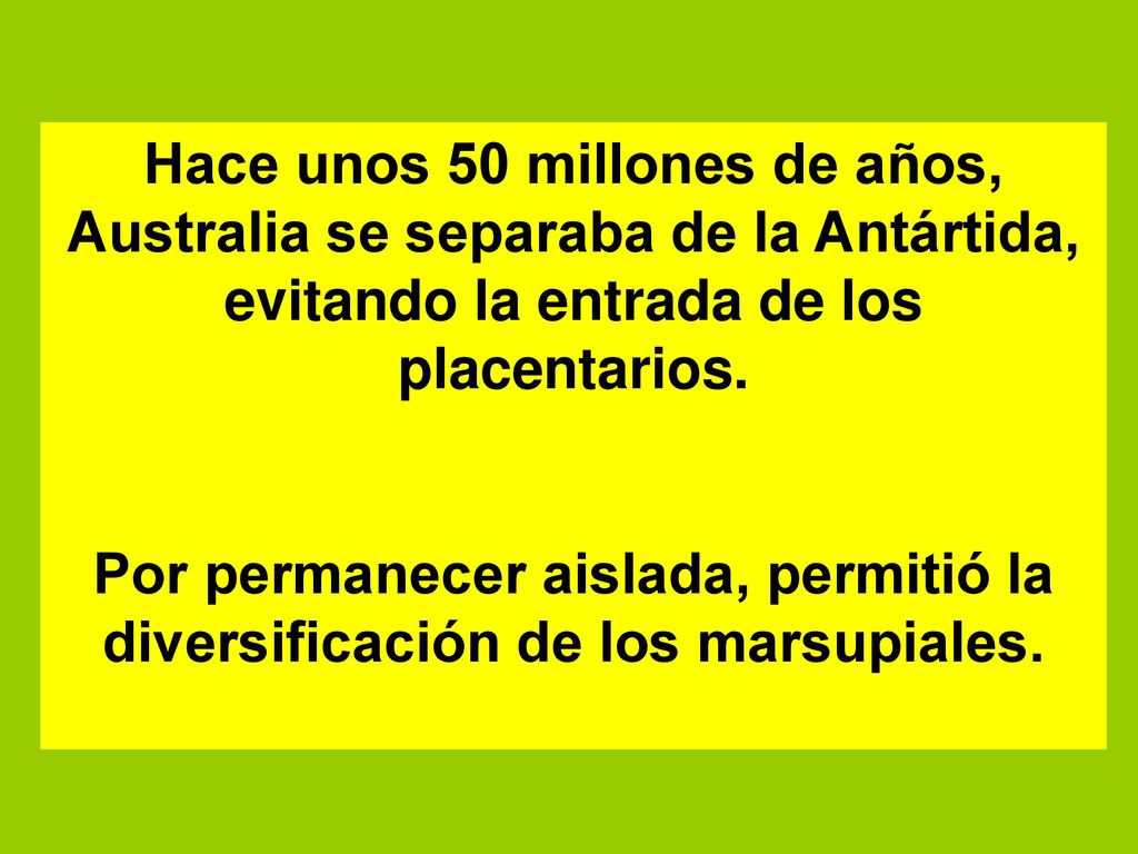 Hace unos 50 millones de años, Australia se separaba de la Antártida, evitando la entrada de los placentarios.