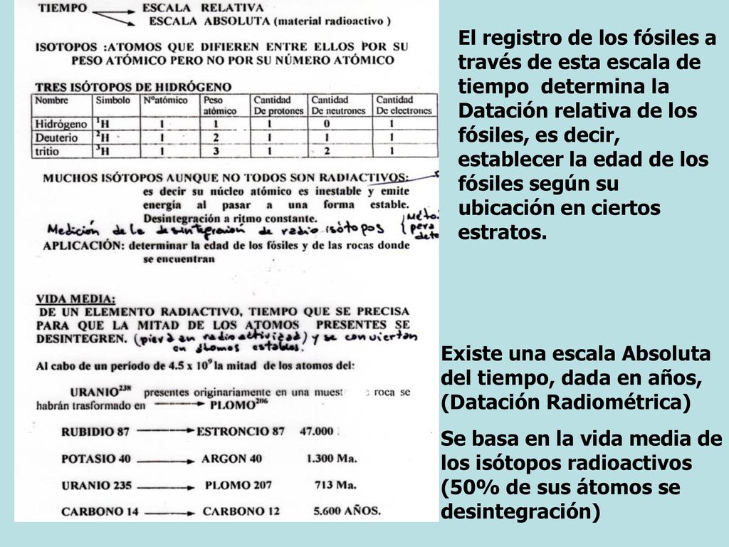 El registro de los fósiles a través de esta escala de tiempo determina la Datación relativa de los fósiles, es decir, establecer la edad de los fósiles según su ubicación en ciertos estratos.