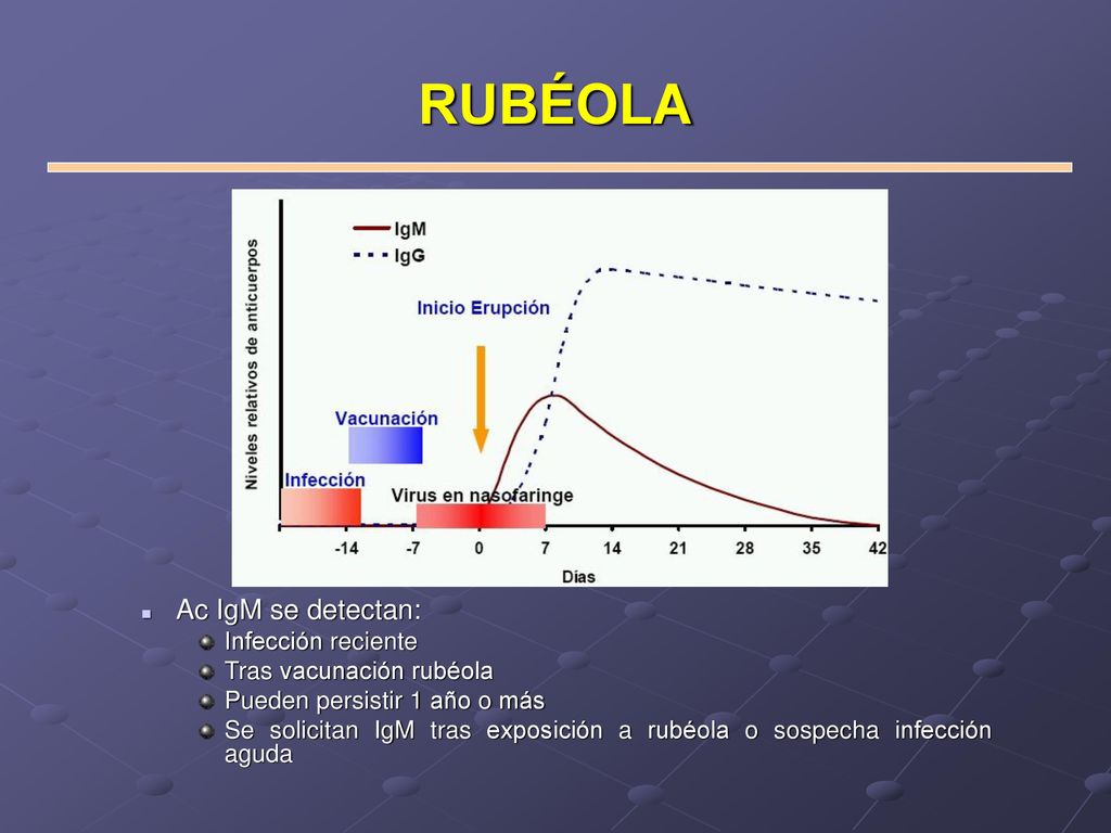 RUBÉOLA Ac IgM se detectan: Infección reciente Tras vacunación rubéola