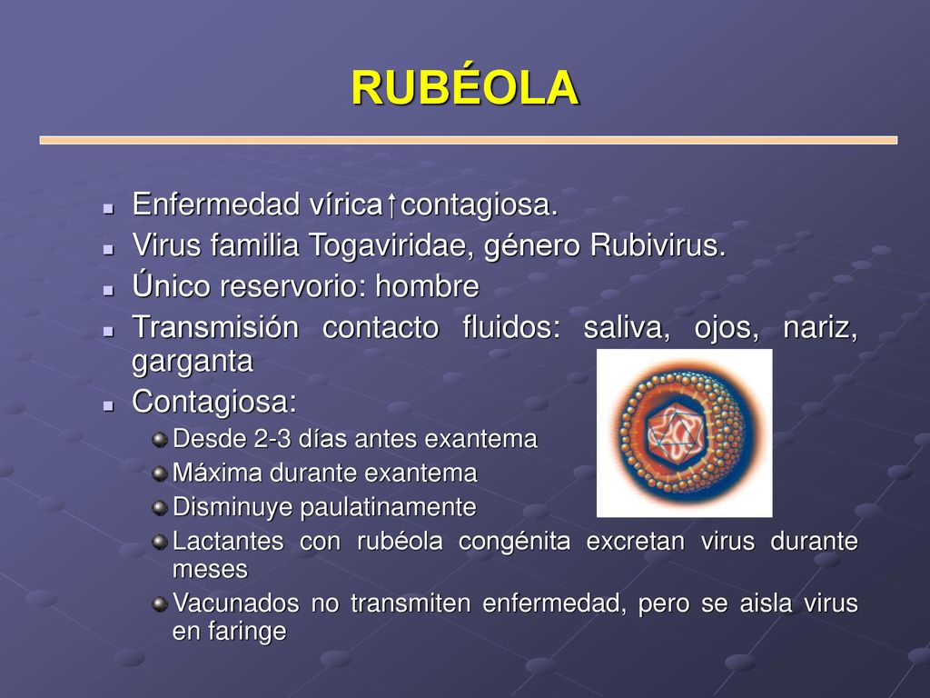 RUBÉOLA Enfermedad vírica ⁭ contagiosa.