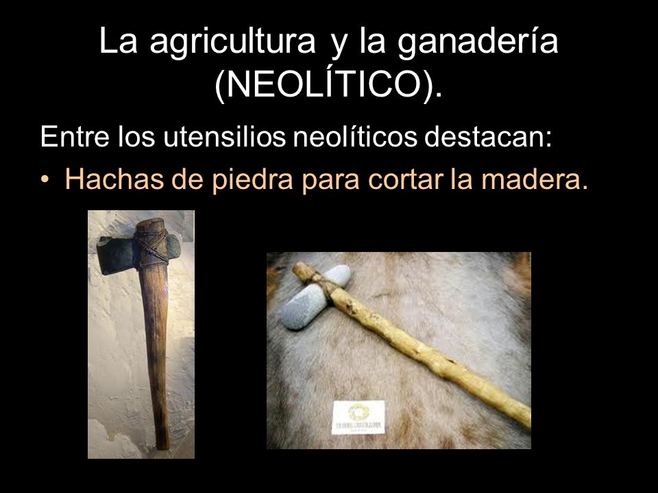 La agricultura y la ganadería (NEOLÍTICO).
