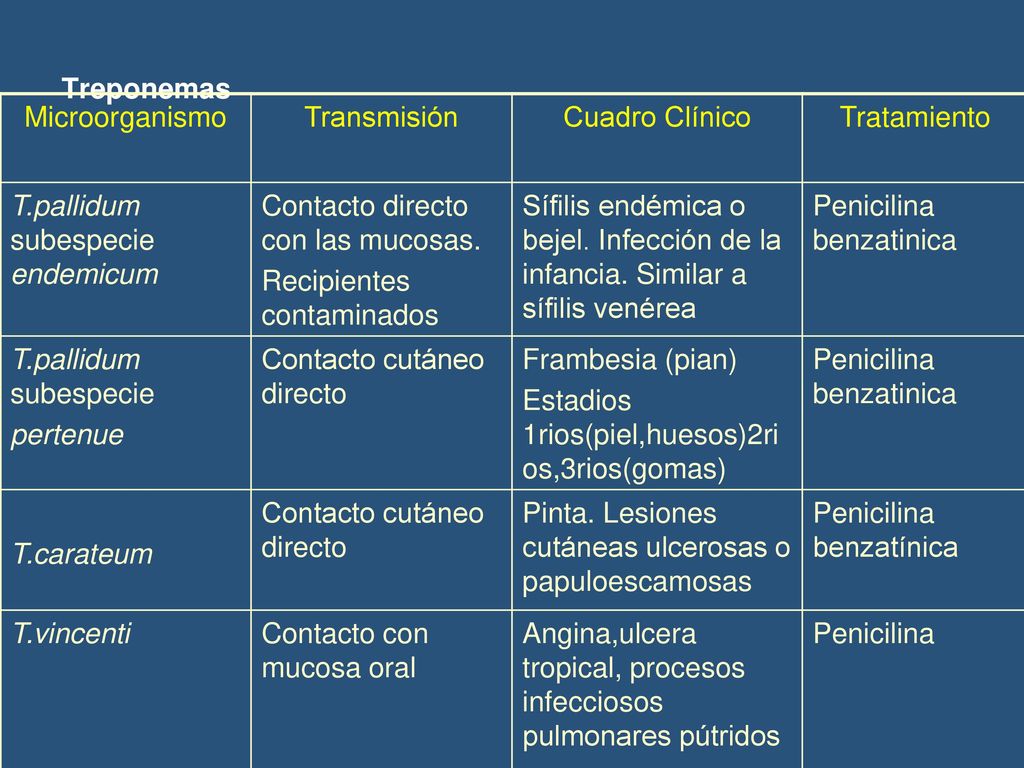 Treponemas Microorganismo. Transmisión. Cuadro Clínico. Tratamiento. T.pallidum subespecie endemicum.
