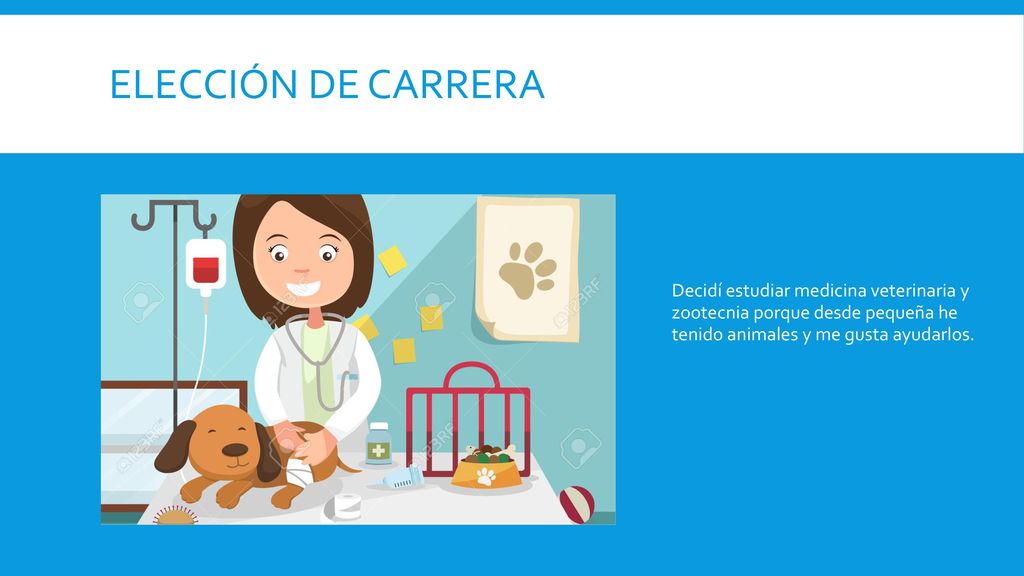 Elección de carrera Decidí estudiar medicina veterinaria y zootecnia porque desde pequeña he tenido animales y me gusta ayudarlos.