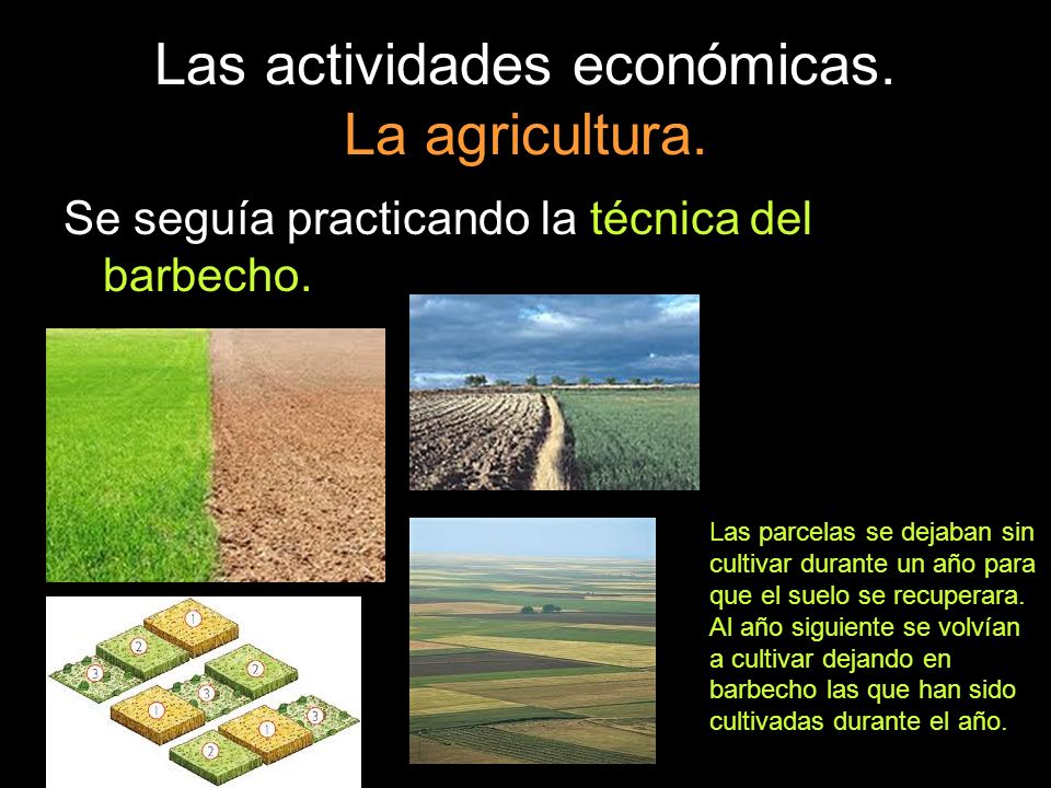 Las actividades económicas. La agricultura.