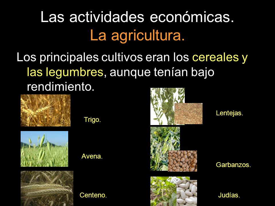 Las actividades económicas. La agricultura.
