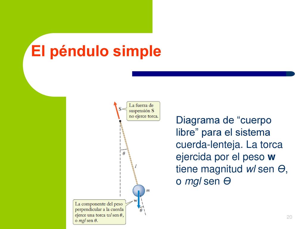 El péndulo simple Diagrama de cuerpo libre para el sistema cuerda-lenteja.