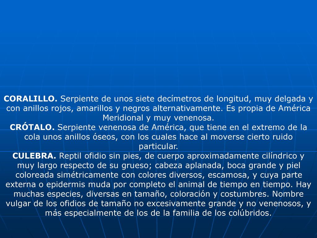 CORALILLO. Serpiente de unos siete decímetros de longitud, muy delgada y con anillos rojos, amarillos y negros alternativamente. Es propia de América Meridional y muy venenosa.
