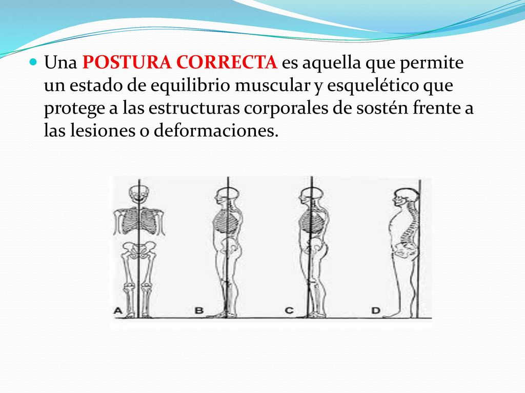 Una POSTURA CORRECTA es aquella que permite un estado de equilibrio muscular y esquelético que protege a las estructuras corporales de sostén frente a las lesiones o deformaciones.