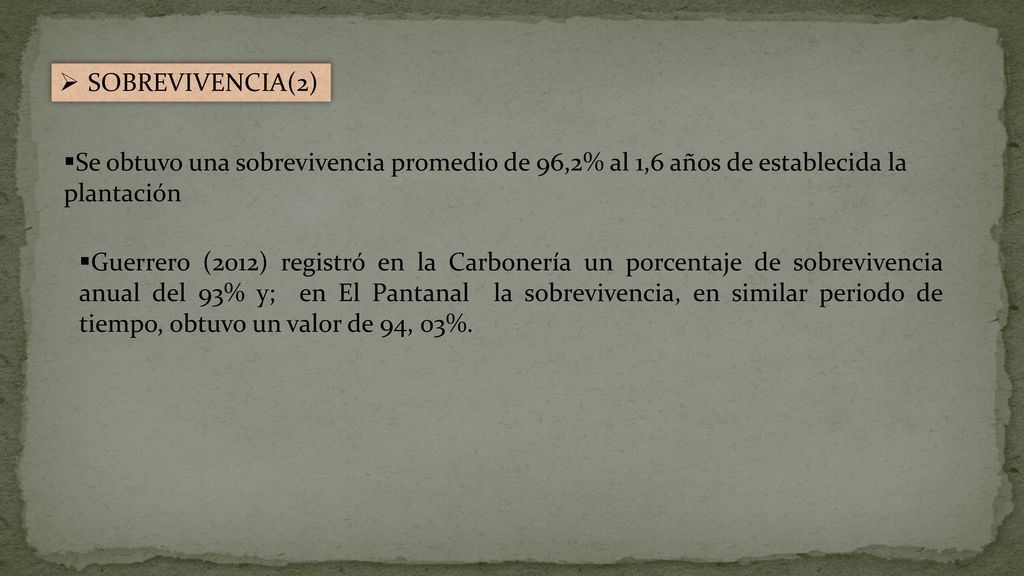 SOBREVIVENCIA(2) Se obtuvo una sobrevivencia promedio de 96,2% al 1,6 años de establecida la plantación.