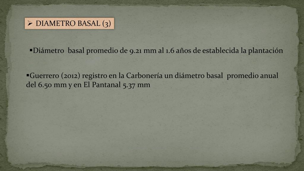 DIAMETRO BASAL (3) Diámetro basal promedio de 9.21 mm al 1.6 años de establecida la plantación.
