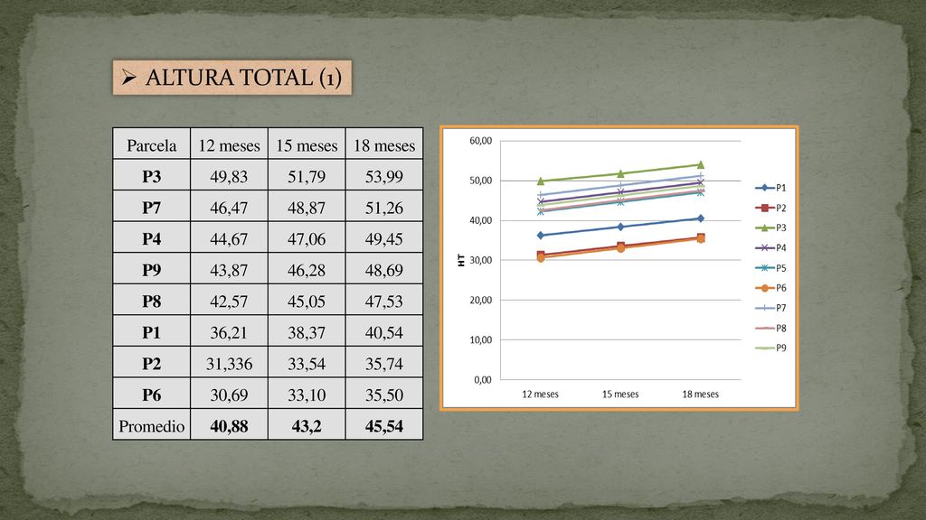 ALTURA TOTAL (1) Parcela 12 meses 15 meses 18 meses P3 49,83 51,79