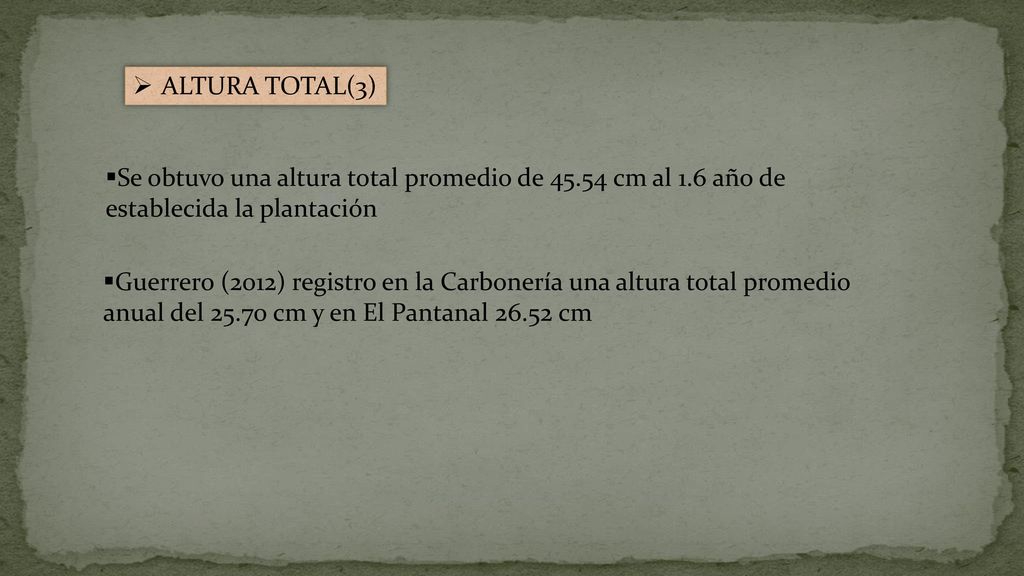 ALTURA TOTAL(3) Se obtuvo una altura total promedio de cm al 1.6 año de establecida la plantación.