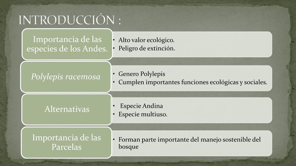 INTRODUCCIÓN : Importancia de las especies de los Andes.