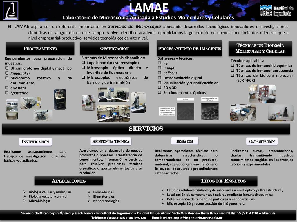 LAMAE Laboratorio de Microscopia Aplicada a Estudios Moleculares y Celulares.