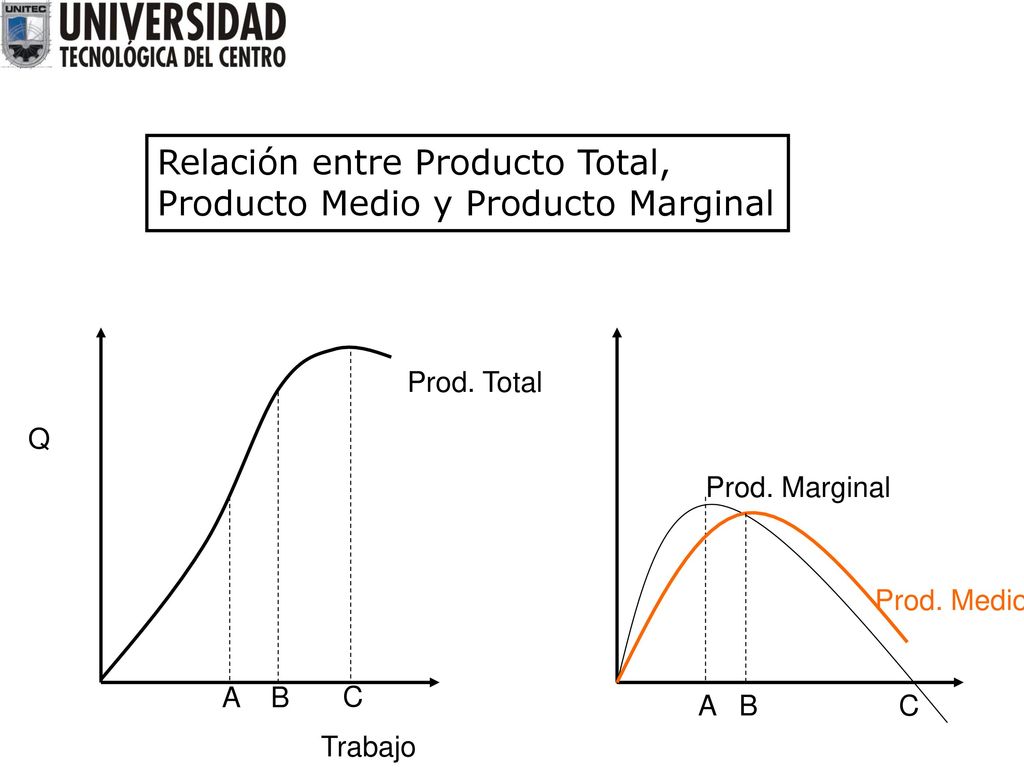 Relación entre Producto Total, Producto Medio y Producto Marginal