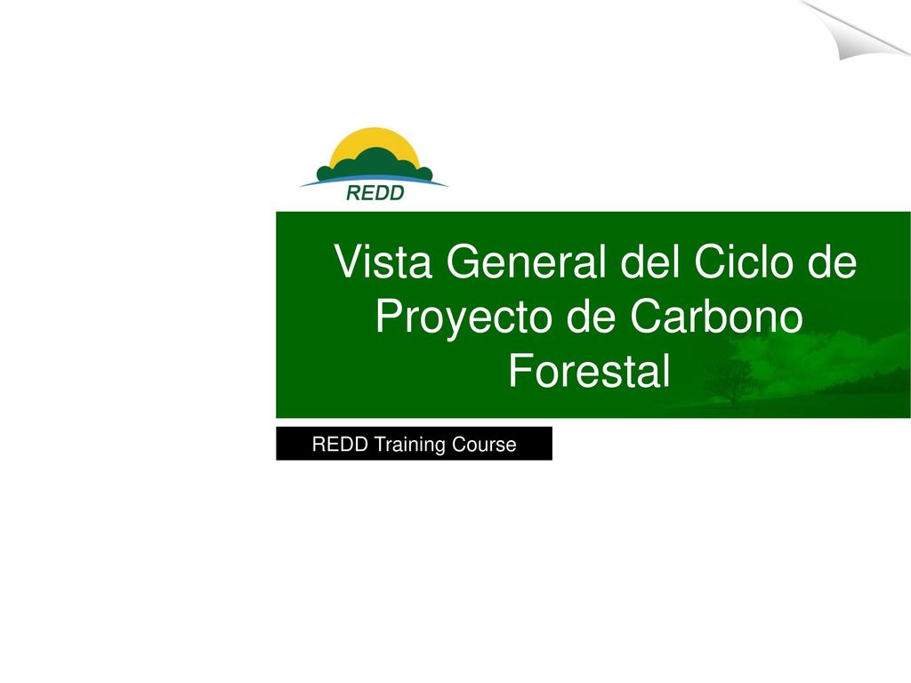 Vista General del Ciclo de Proyecto de Carbono Forestal