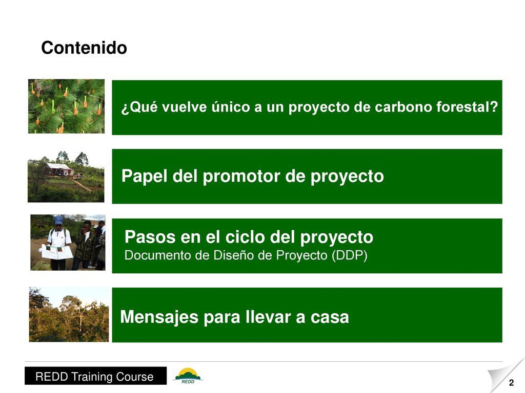 ¿Qué vuelve único a un proyecto de carbono forestal