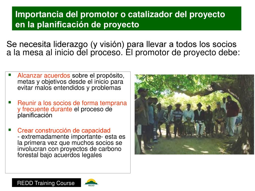 Importancia del promotor o catalizador del proyecto en la planificación de proyecto