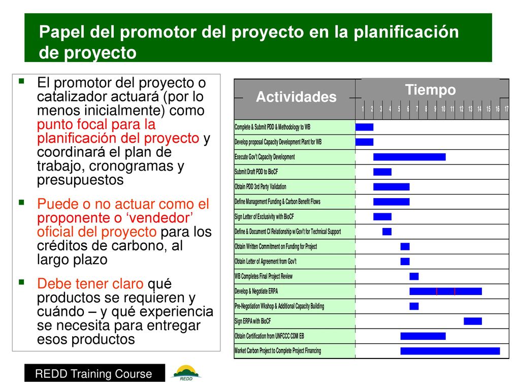 Papel del promotor del proyecto en la planificación de proyecto