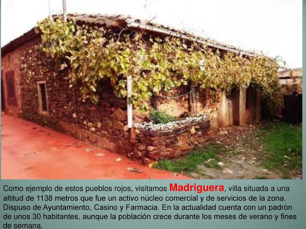 Como ejemplo de estos pueblos rojos, visitamos Madriguera, villa situada a una altitud de 1138 metros que fue un activo núcleo comercial y de servicios de la zona.