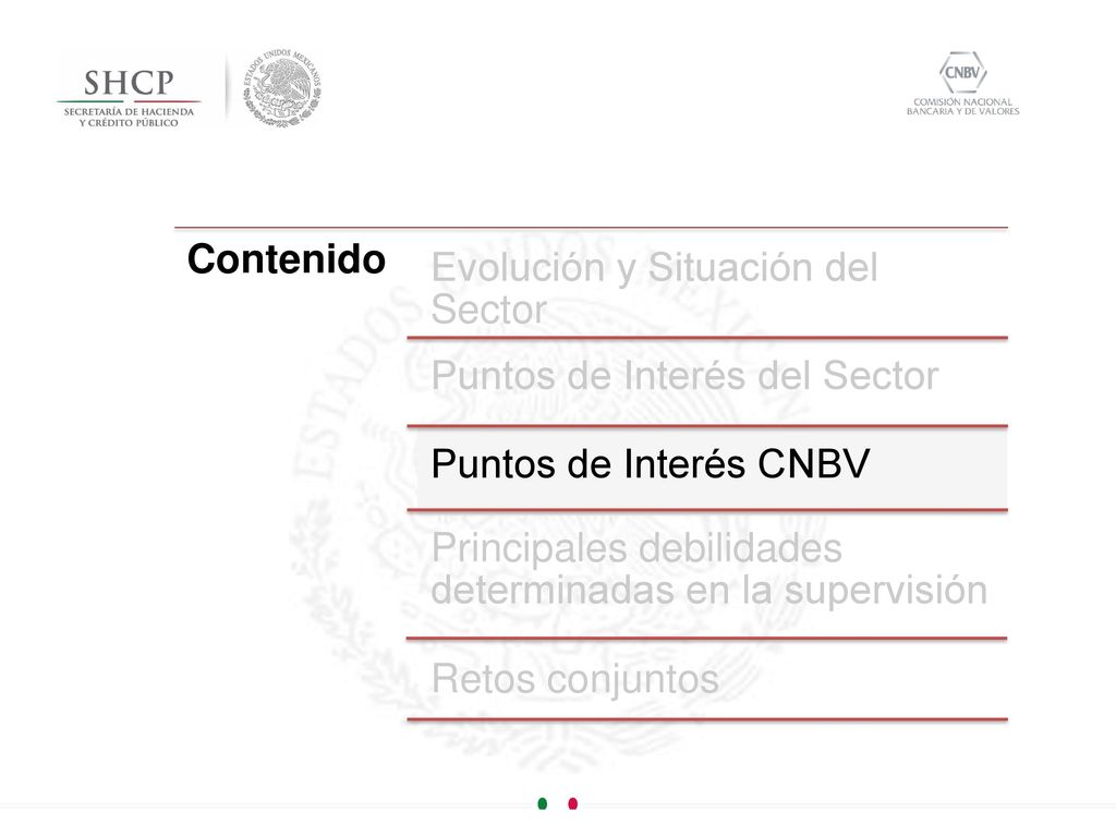 Contenido Evolución y Situación del Sector. Puntos de Interés del Sector. Puntos de Interés CNBV.