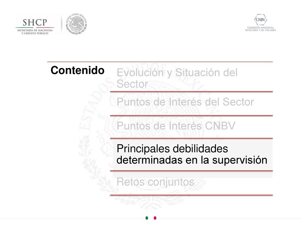 Contenido Evolución y Situación del Sector. Puntos de Interés del Sector. Puntos de Interés CNBV.