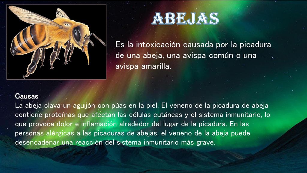 Abejas Es la intoxicación causada por la picadura de una abeja, una avispa común o una avispa amarilla.