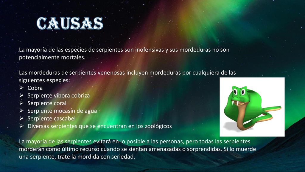 causas La mayoría de las especies de serpientes son inofensivas y sus mordeduras no son potencialmente mortales.