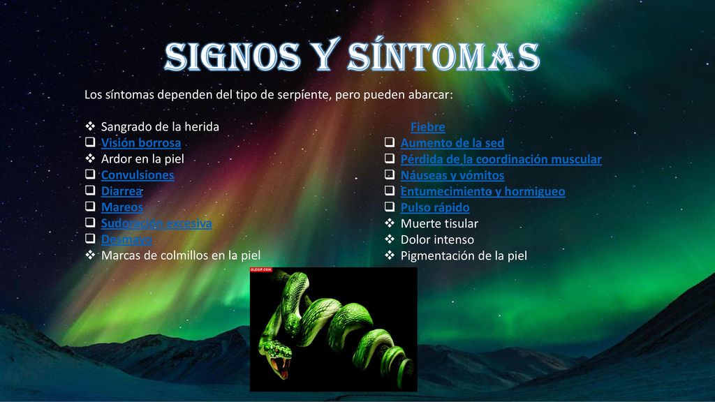 Signos y síntomas Los síntomas dependen del tipo de serpiente, pero pueden abarcar: Sangrado de la herida.