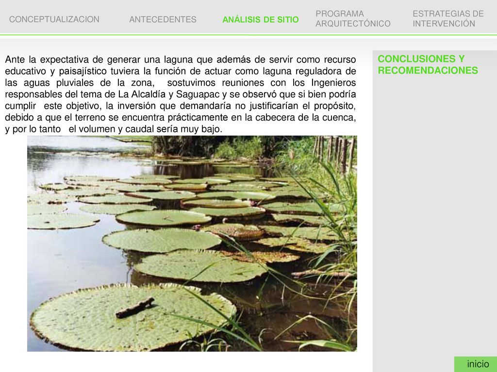 Ante la expectativa de generar una laguna que además de servir como recurso educativo y paisajístico tuviera la función de actuar como laguna reguladora de las aguas pluviales de la zona, sostuvimos reuniones con los Ingenieros responsables del tema de La Alcaldía y Saguapac y se observó que si bien podría cumplir este objetivo, la inversión que demandaría no justificarían el propósito, debido a que el terreno se encuentra prácticamente en la cabecera de la cuenca, y por lo tanto el volumen y caudal sería muy bajo.