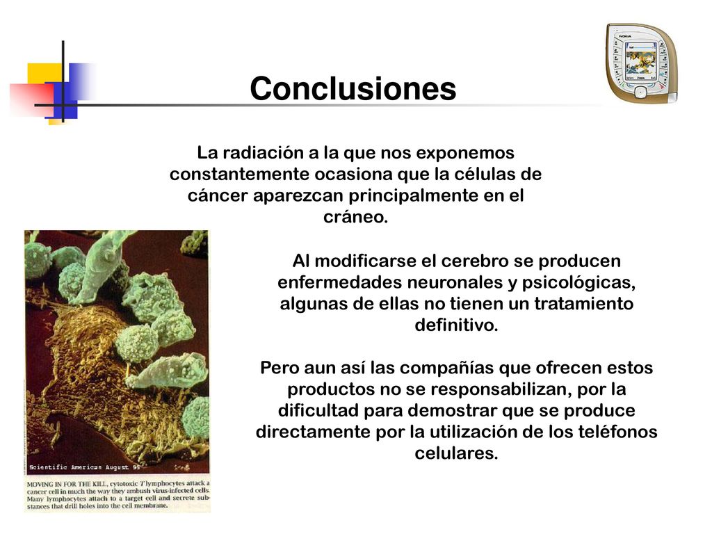 Conclusiones La radiación a la que nos exponemos constantemente ocasiona que la células de cáncer aparezcan principalmente en el cráneo.
