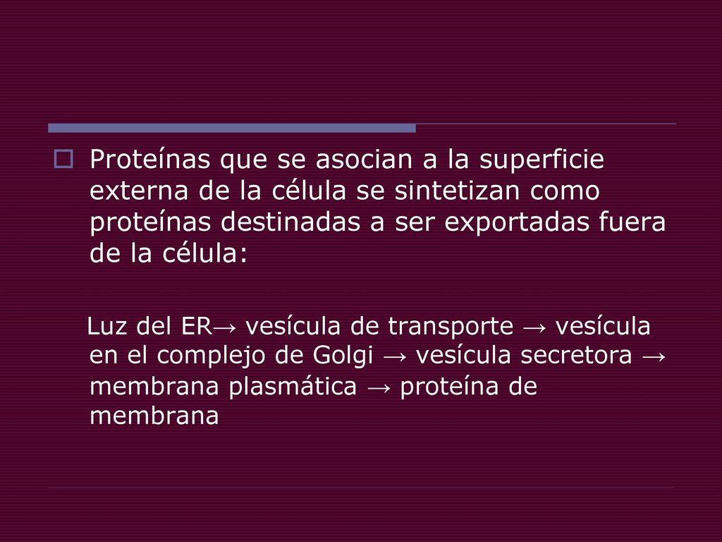 Proteínas que se asocian a la superficie externa de la célula se sintetizan como proteínas destinadas a ser exportadas fuera de la célula: