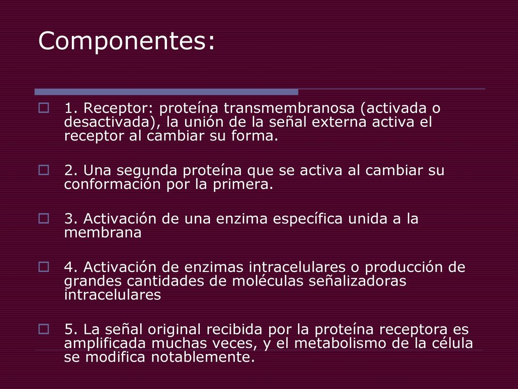 Componentes: 1. Receptor: proteína transmembranosa (activada o desactivada), la unión de la señal externa activa el receptor al cambiar su forma.