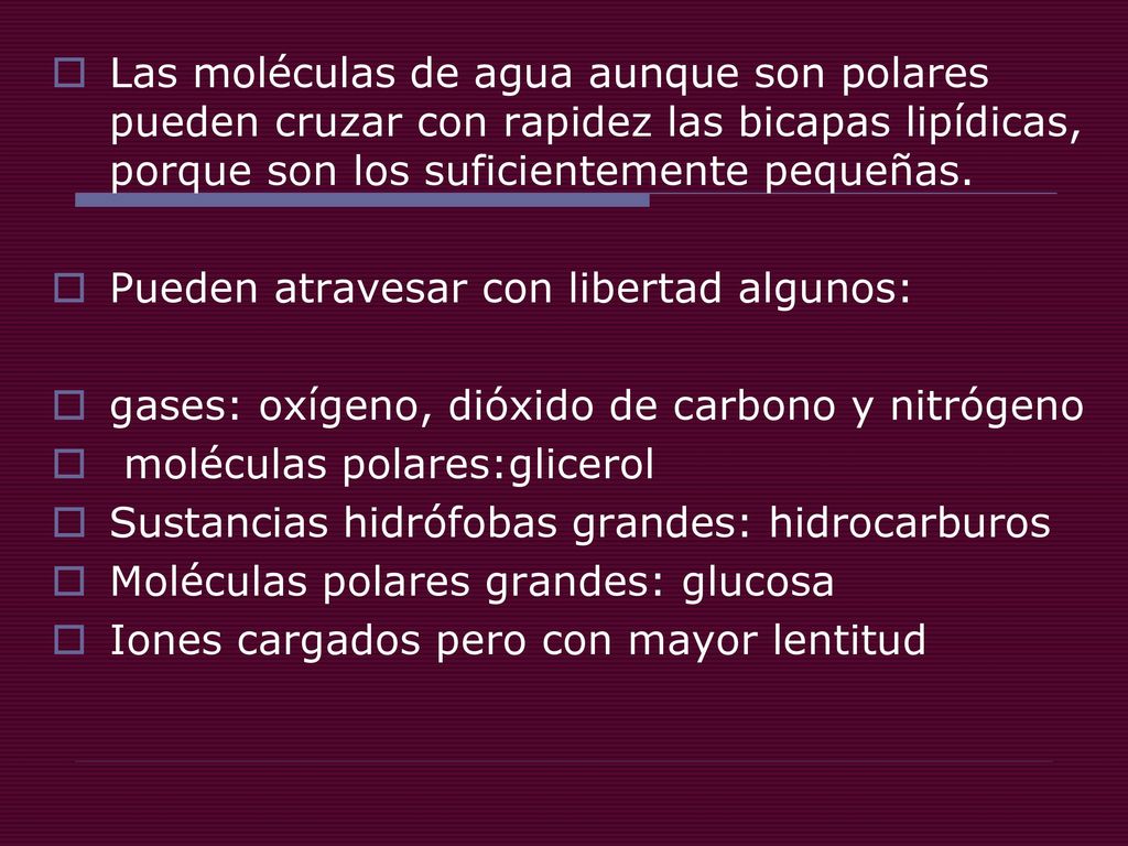 Las moléculas de agua aunque son polares pueden cruzar con rapidez las bicapas lipídicas, porque son los suficientemente pequeñas.