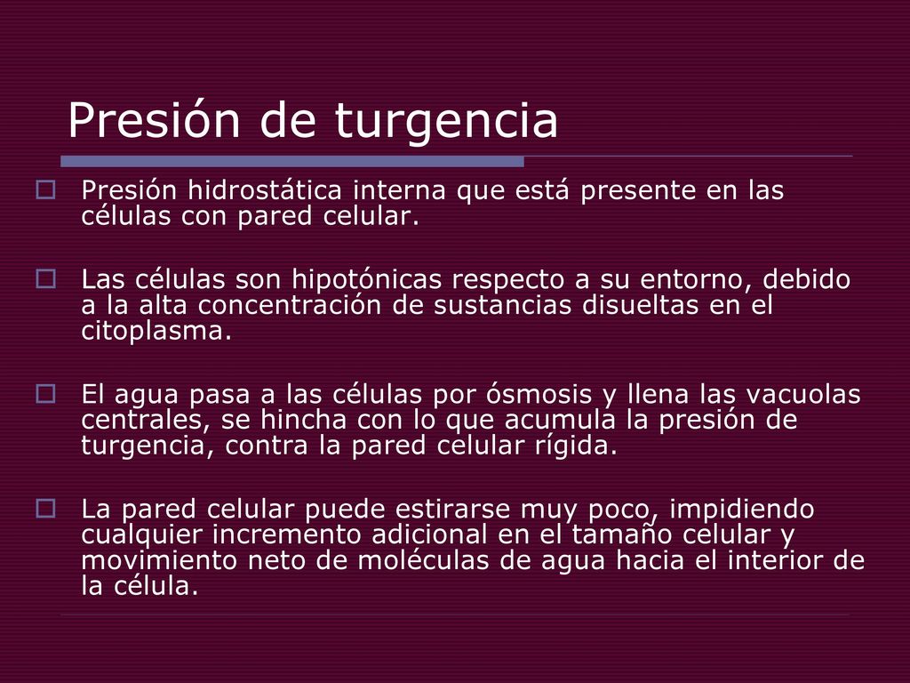 Presión de turgencia Presión hidrostática interna que está presente en las células con pared celular.