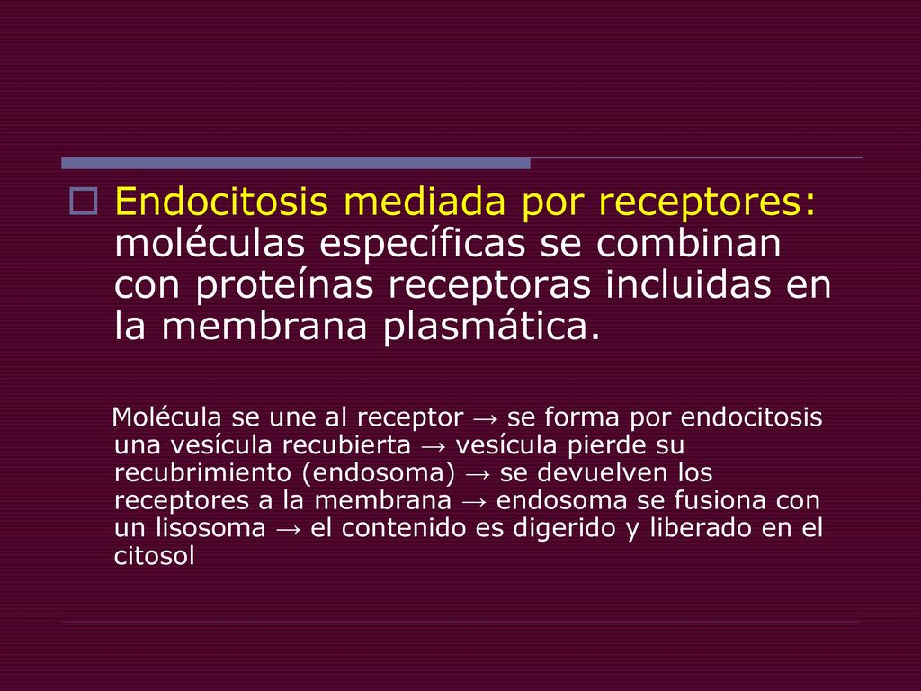 Endocitosis mediada por receptores: moléculas específicas se combinan con proteínas receptoras incluidas en la membrana plasmática.