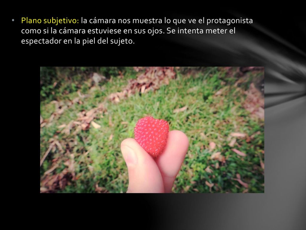 Plano subjetivo: la cámara nos muestra lo que ve el protagonista como si la cámara estuviese en sus ojos.